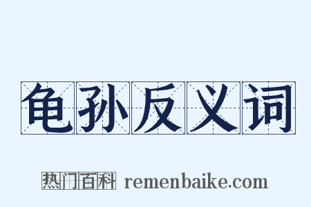 龟孙反义词是什么意思的图片